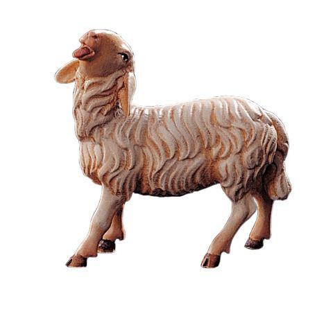 Schaf - Sheep-21203-A-Lepi