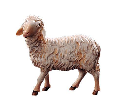 Schaf - Sheep-21205-A-Lepi