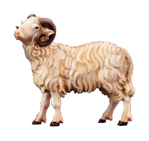 Widder-21278-A-von Lepi