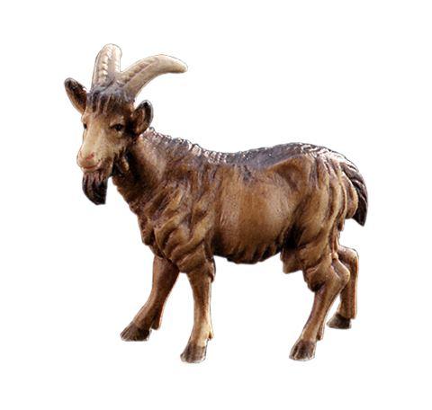 Ziege - 21300 von Lepi in Color