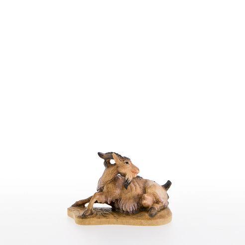 Liegende Ziege -Lepi -21303_C