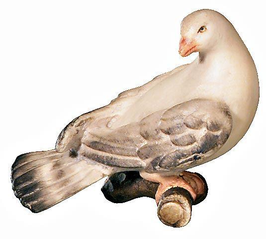 O-Taube zurückschauend 426581
