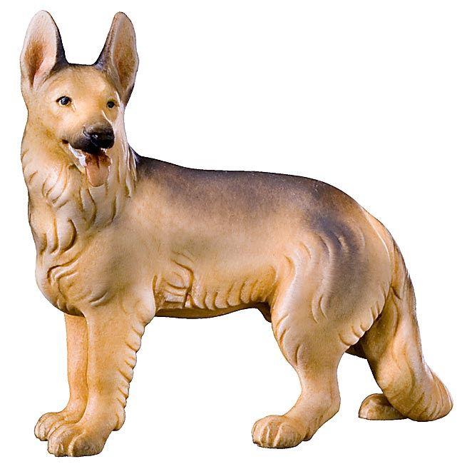 Schäferhund-425571