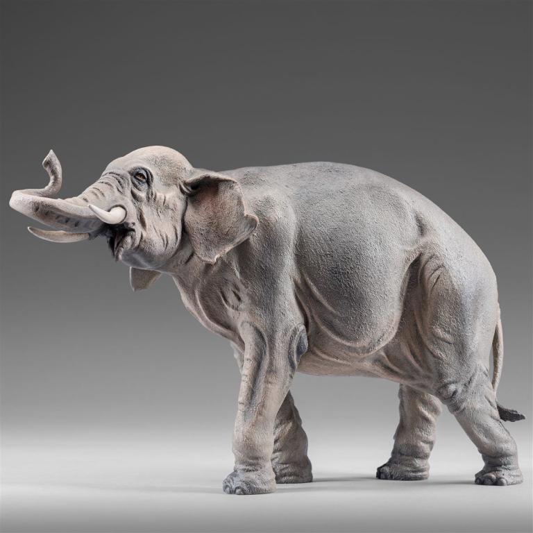 Elefant - 236820_6