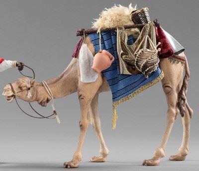 Kamel bepackt - Hannah -oriental