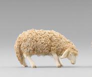 Schaf äsend mit Wolle 236103