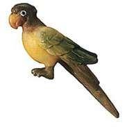 Papagei- der Königlichen Krippe in Color-Bemalt