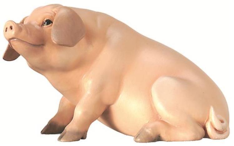Schwein- Color-Bemalt-Kö-TI