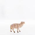 Schaf blöckend - Sheep bleating-21104-Lepi
