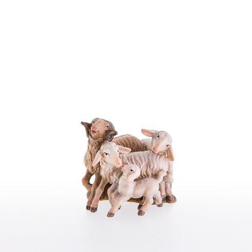 Viererschafgruppe lepi - 21202_C