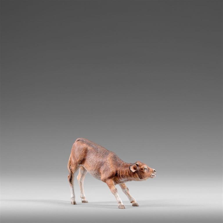 Kalb - 236307_6