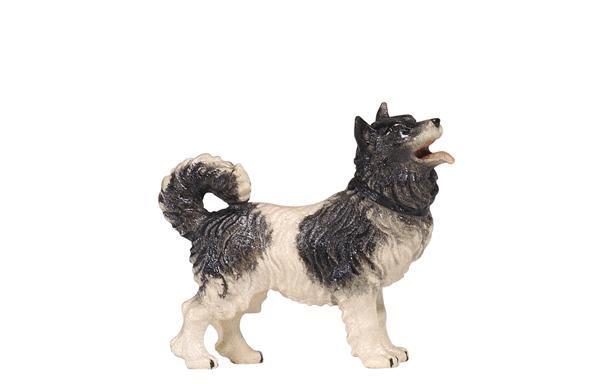 Hund Spitz Kostner Krippe