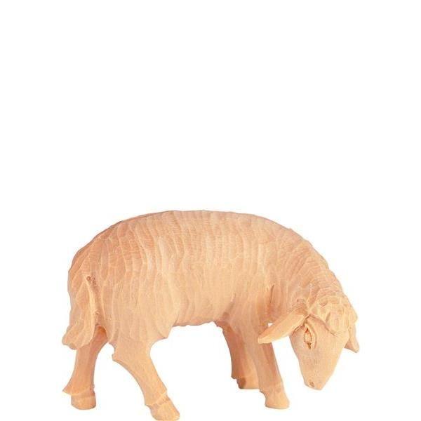 Schaf grasend R.K. -Natur-Zirbenholz-