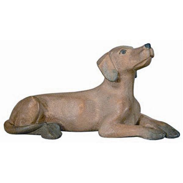 Hund der Rowi Krippe in Color