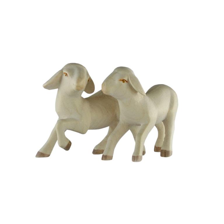 Lämmergruppe der Rowi Krippe in Color
