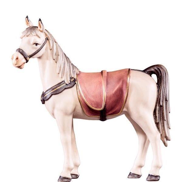Pferd 4599