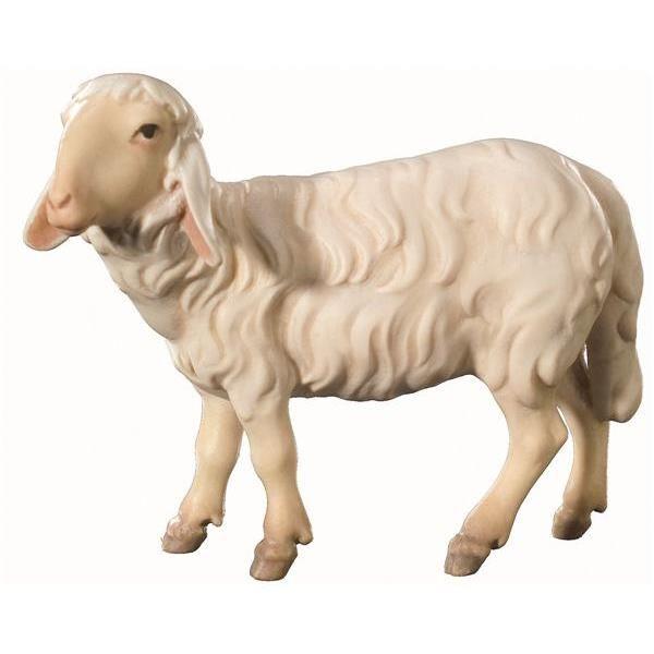 Schaf stehend rechts- Color-Bemalt-TBK-KÖ