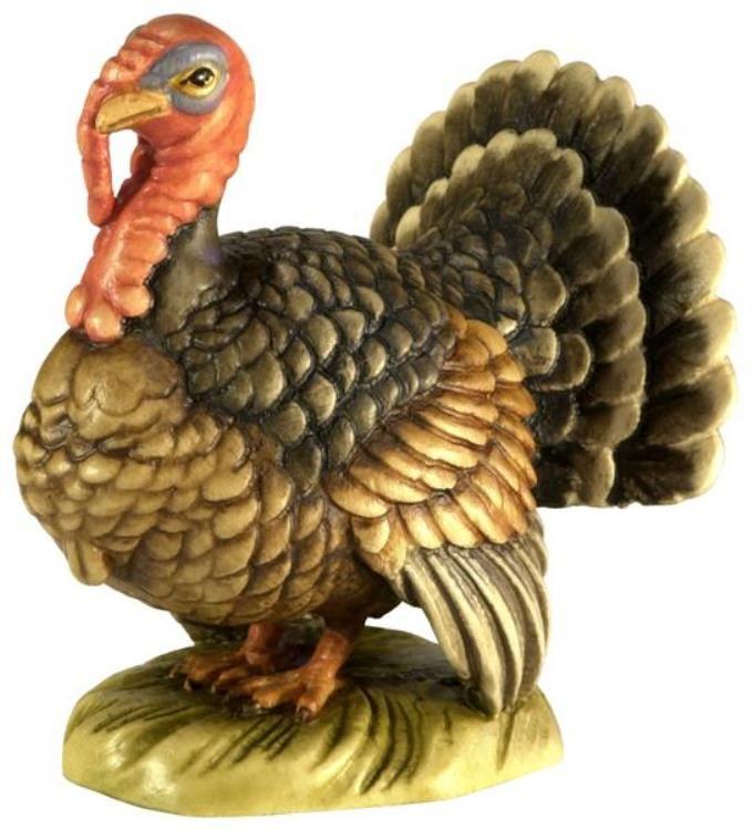 Truthahn- Color-Bemalt-B