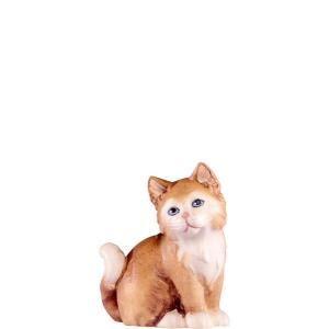 Katze braun 4586B