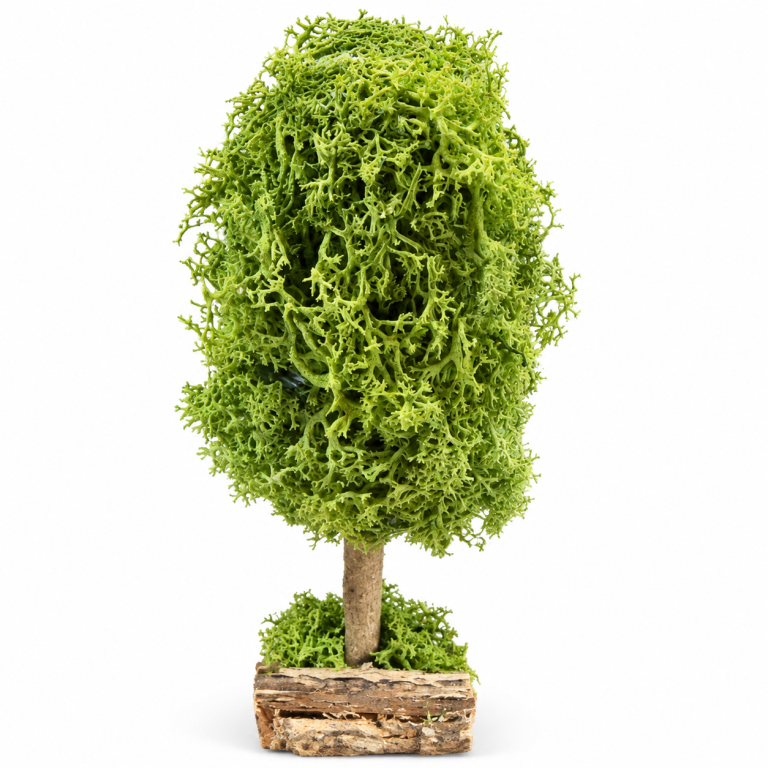 Kleiner Baum 17 cm für Krippenbotanik