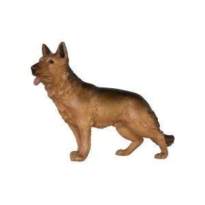 Hund stehend 131951-A