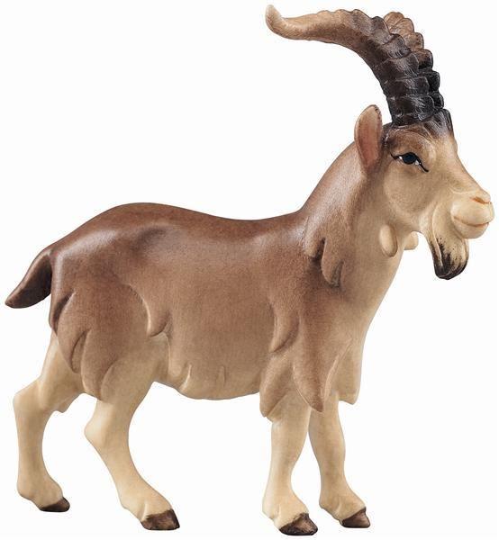 Ziegenbock - LK