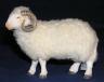Schafbock mit Wolle W3610C-H