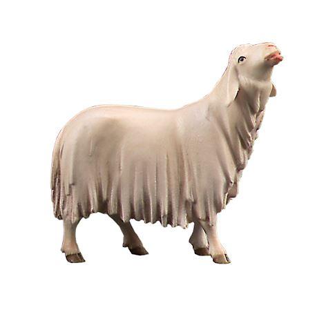 Leckendes Schaf von Lepi
