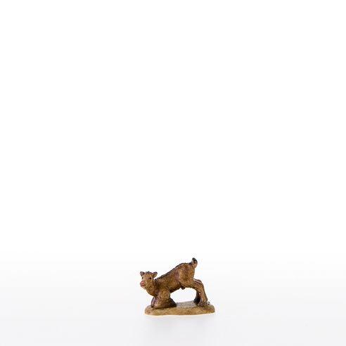 Boecklein -lepi- 21382_C