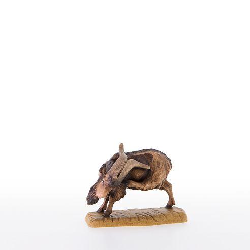 Ziegenbock - 21377_C