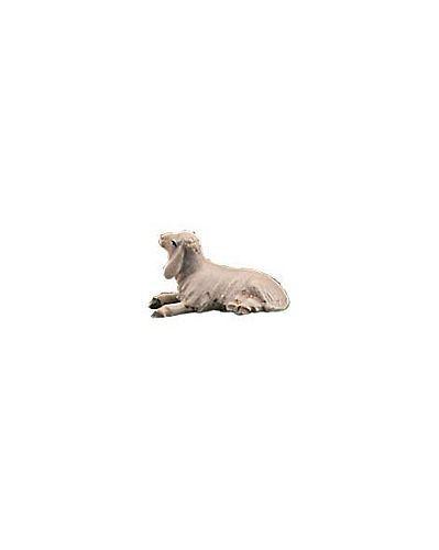 Neugeborenes Lamm - Newborn lamb-10000-015-Lepi