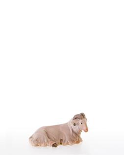 Schafbock liegend-lepi-10000-17_C