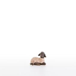 Schwarzkoepfiges Lamm liegend - 21286-AS_C