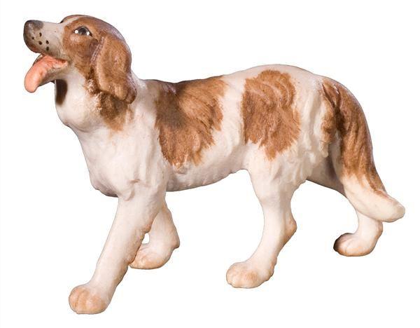 Hirtenhund-Color-KÖ