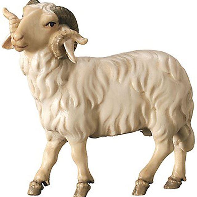 Widder der Königliche Krippe in Color - Bemalt