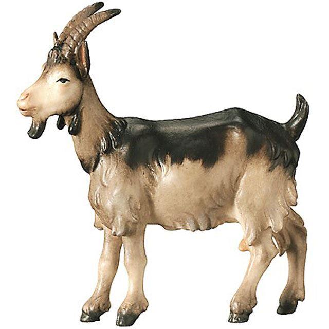 Ziege - Königliche Krippe - Color-Bemalt