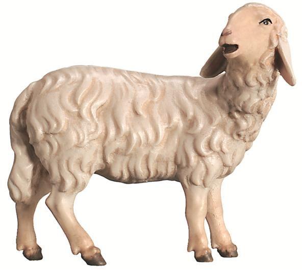 Schaf schauend- Königliche Krippe-6051-Bemalt