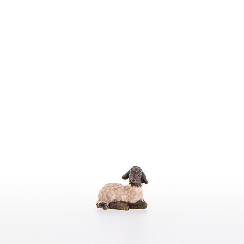 Schwarzkoepfiges Lamm liegend - 21286-AS_C