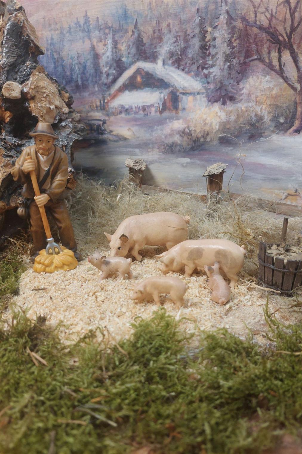 Schweinefütterung-5
